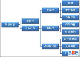 貴州省知識產權服務（商標、專利、著作權） 精析易登網版權服務優勢與適用范圍